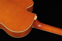 Gretsch G6120 Eddie Cochran Signature