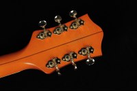 Gretsch G6120 Eddie Cochran Signature