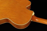 Gretsch G6120T-55 Vintage Select Edition '55 Chet Atkins
