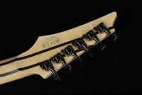 Ibanez J Custom RG8570 - BSR