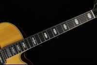 Ibanez PM3C-NAL Pat Metheny Signature