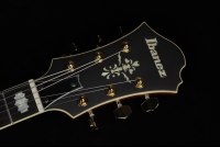 Ibanez PM3C-NAL Pat Metheny Signature