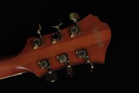 Ibanez PM3C-NAL Pat Metheny Signature