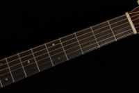 Martin D-15M Streetmaster