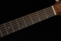Martin D-15M Streetmaster