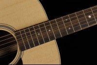 Martin D-16E Rosewood