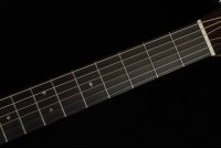 Martin HD-28E L.R Baggs Anthem