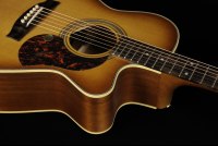 Maton EBG808C Nashville