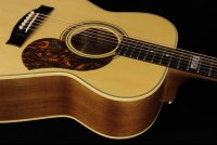 Maton EBG808TE