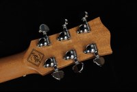 Maton Master Built T.E. Personal