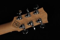 Maton Master Built T.E. Personal