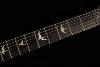 Paul Reed Smith 35th Anniversary Custom 24 10-Top (1-Piece Top) - BGW
