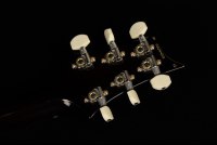 Paul Reed Smith 35th Anniversary Custom 24 10-Top (1-Piece Top) - BGW