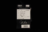 Paul Reed Smith 35th Anniversary Custom 24 10-Top (1-Piece Top) - BGW