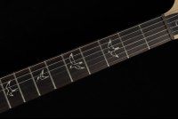 Paul Reed Smith CE22 Limited Edition - BA