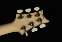 Paul Reed Smith CE22 Limited Edition - BA