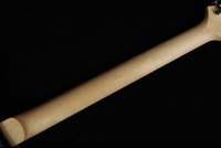 Paul Reed Smith CE24 - BS