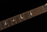 Paul Reed Smith CE24 - FGB