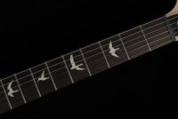 Paul Reed Smith CE24 - FG