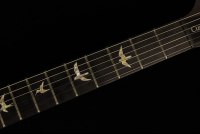 Paul Reed Smith Custom 24 10-Top - AQM