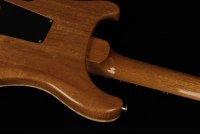 Paul Reed Smith Custom 24 10-Top - AQM