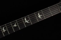 Paul Reed Smith Custom 24 - FSB