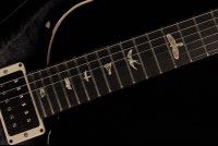 Paul Reed Smith Custom 24 - PPM