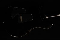 Paul Reed Smith Custom 24 - PPM