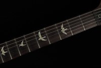 Paul Reed Smith Custom 24 - MCS
