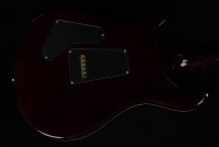 Paul Reed Smith Custom 24 - MCS