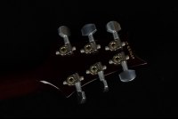 Paul Reed Smith Custom 24 - MCS