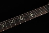 Paul Reed Smith Hollowbody II - CHB