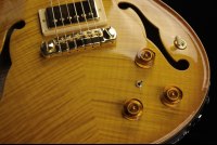 Paul Reed Smith McCarty Hollowbody II w/Piezo Artist Package - MCS
