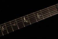 Paul Reed Smith McCarty Hollowbody II w/Piezo Artist Package - MCS