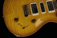 Paul Reed Smith Special Semi-Hollow 10-Top - MCS