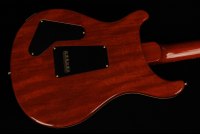 Paul Reed Smith Special Semi-Hollow 10-Top - MCS