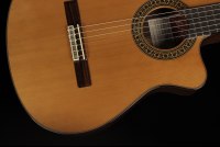 Ramirez Cut 2 w/Fishman Prefix Pro Blend