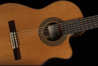 Ramirez Cut 2 w/Fishman Prefix Pro Blend