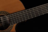 Ramirez Cut 2 w/Fishman Prefix Pro Blend