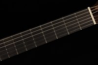 Ramirez Cut 2 w/Fishman Prefix Pro Blend