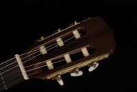 Ramirez Cut 2 w/Fishman Prefix Pro Blend