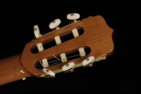 Ramirez Cut 2 w/Fishman Prefix Pro Blend