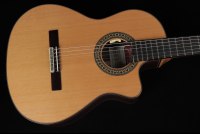 Ramirez Cut 2 w/L.R. Baggs Anthem SL