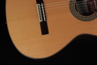 Ramirez Cut 2 w/L.R. Baggs Anthem SL