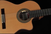 Ramirez Cut 2 w/L.R. Baggs Anthem SL