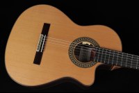 Ramirez Cut 2 w/L.R. Baggs Anthem SL