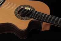 Ramirez Cut 2 w/L.R. Baggs Anthem SL