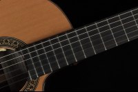 Ramirez Cut 2 w/L.R. Baggs Anthem SL