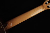 Ramirez Guitarra del Tiempo - Cedar