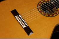 Ramirez Guitarra del Tiempo Cedar